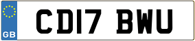Trailer License Plate